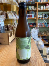 Kombucha